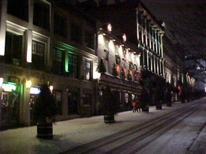 Sapin de Noël - Plantations Univert, Bonsecours Estrie