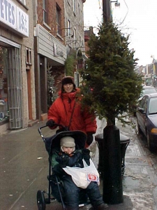 Sapin de Noël - Plantations Univert, Bonsecours Estrie