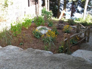 Service de plantation - Plantations Univert, Bonsecours, Estrie