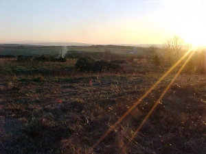 Sapin de Noël - Plantations Univert, Bonsecours, Estrie
